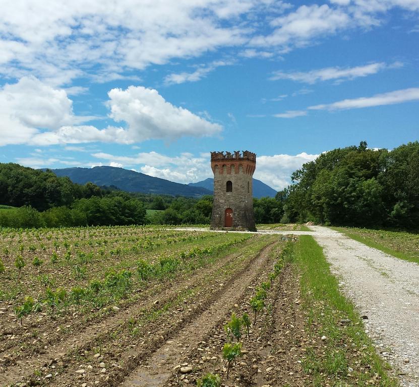 Agriturismo Casteldardo Guest House Trichiana Luaran gambar